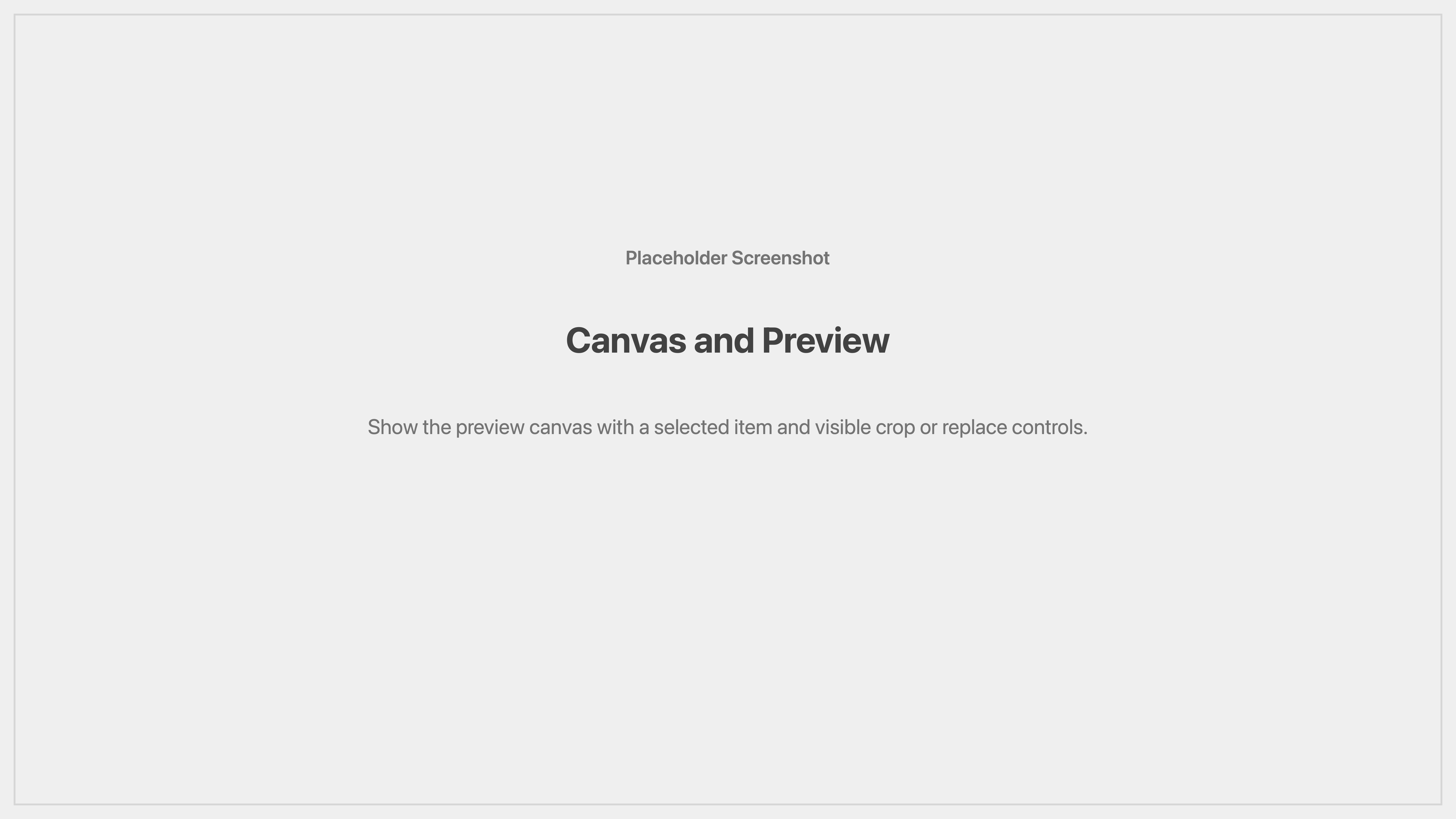 Cenematic canvas and preview placeholder