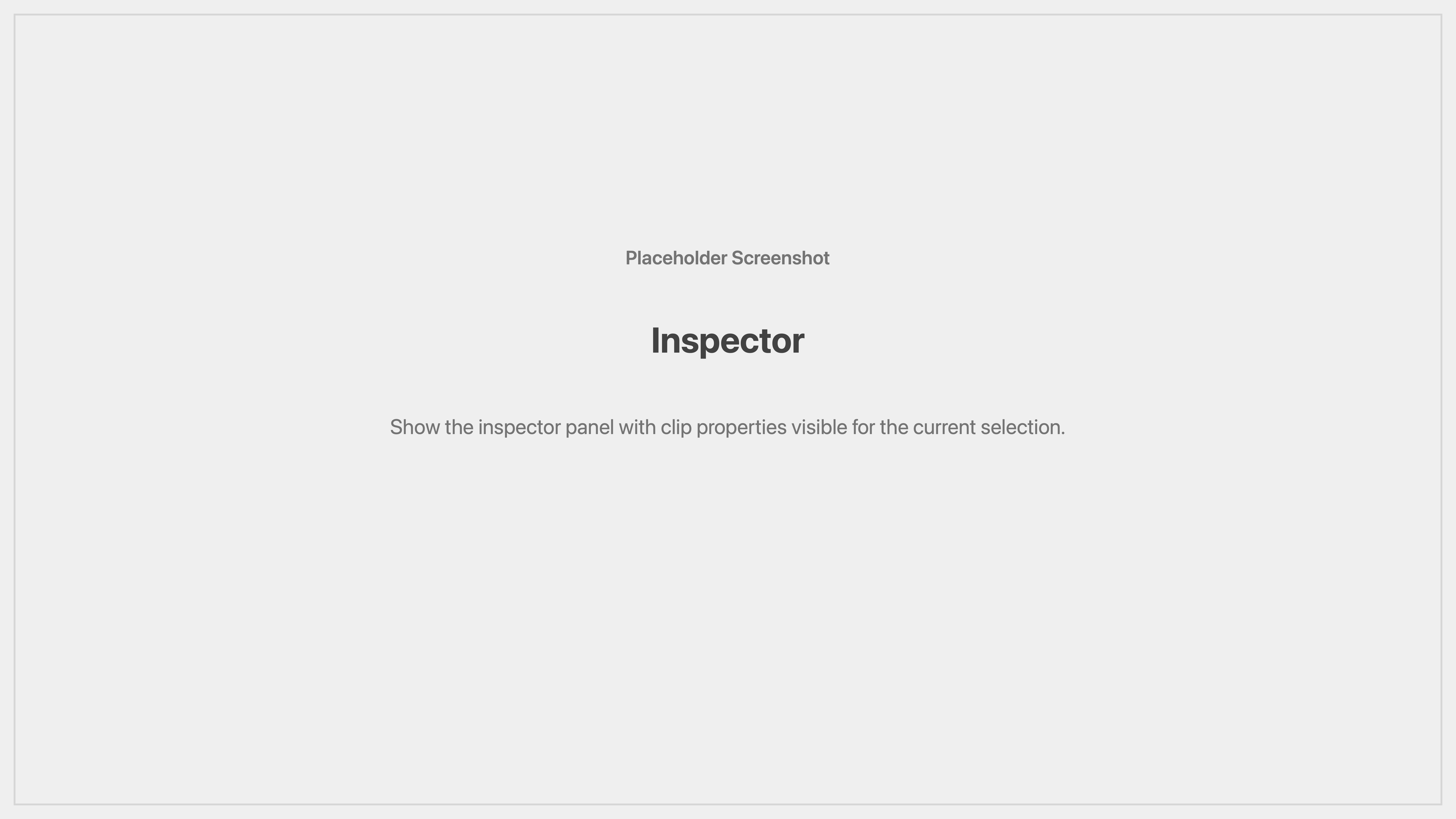 Cenematic inspector placeholder
