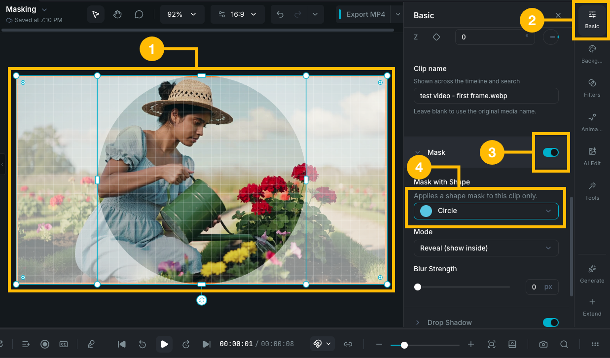 Clip mask example